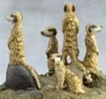 Meerkat Familiars