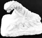 Giant Centipedes (2)