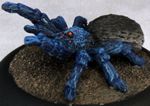 Terrantula (2)
