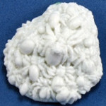 Vermin: Spider Swarm (2)