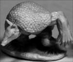 Werearmadillo