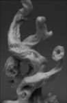 Gravewailer