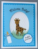 Baby Boy, Welcome Baby w/Giraffe
