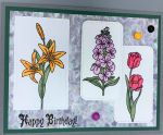 Birthday, Flower Portrait Trio