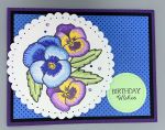 Birthday Female, Pretty Pansies