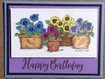Birthday Female, Potted Pansies