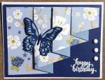 Birthday Female, Butterfly Curtain