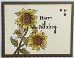 Birthday Female, Subtle Letter Sunflower