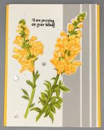Encouragement, Golden Snapdragon