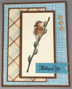 Friendship, Pussy Willow Branch