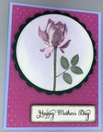 Mom, Lavender Rose